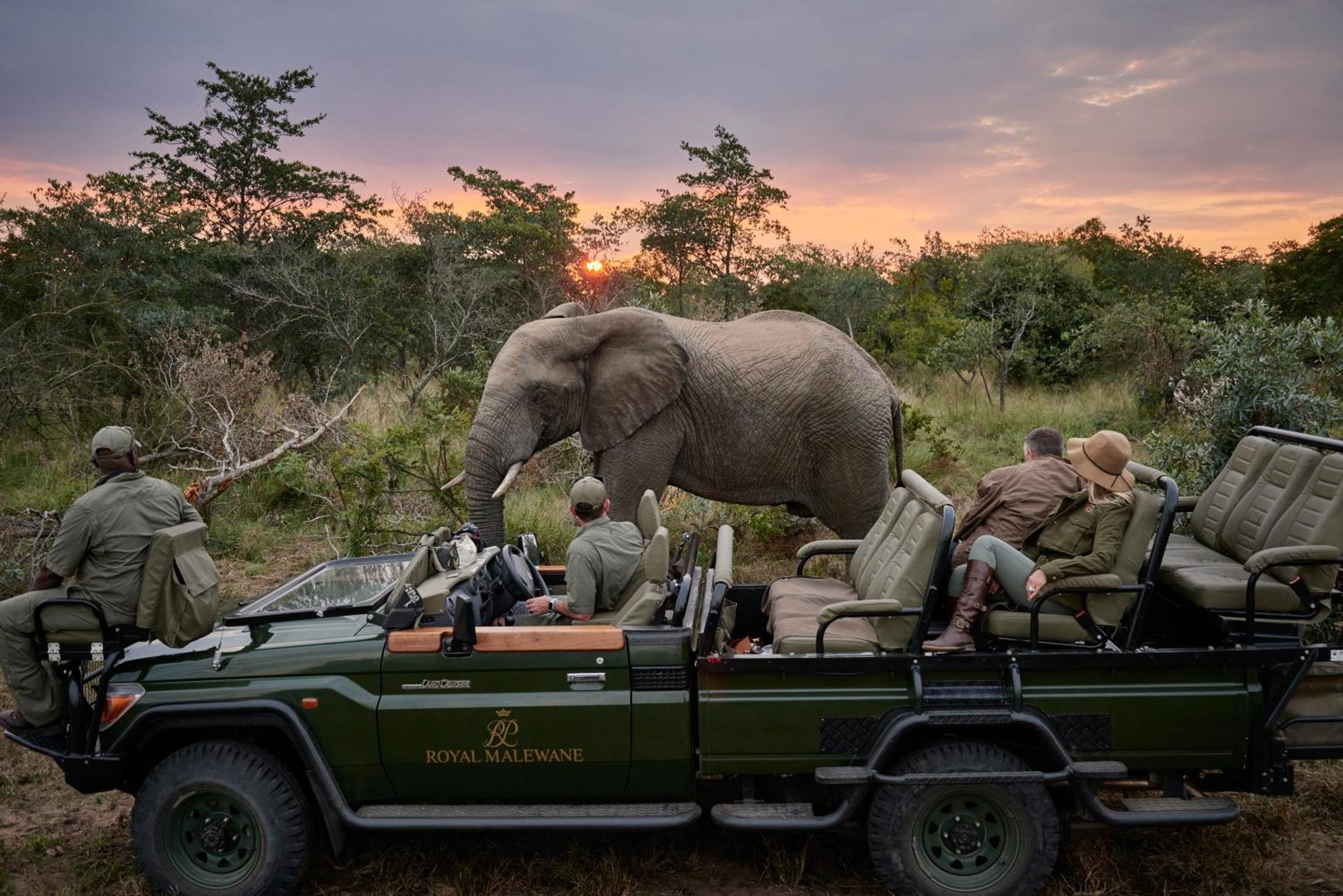 Royal Malewane Villa Thornybush Doğa Koruma Alanı Dış mekan fotoğraf