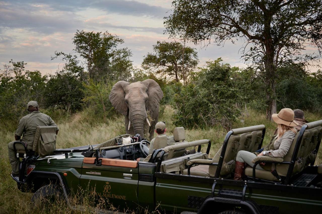 Royal Malewane Villa Thornybush Doğa Koruma Alanı Dış mekan fotoğraf